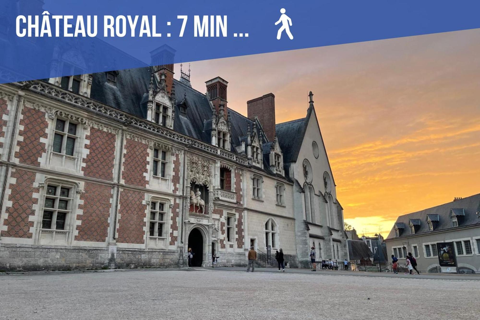 Charme & Calme A 200m Du Chateau * Blois